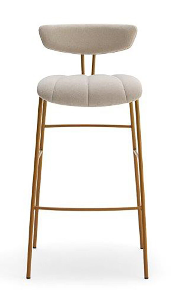 Ayla Barstool